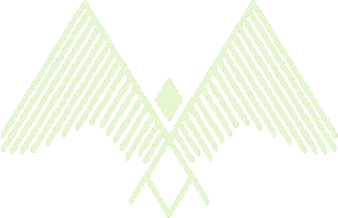 Unearth Endless Opportunities